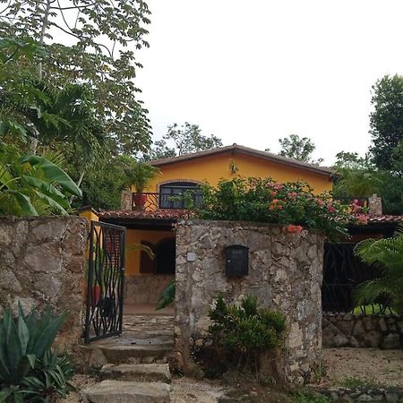 Casa Mango Bed & Breakfast ตูลุม ภายนอก รูปภาพ