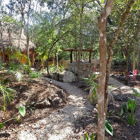 Casa Mango Bed & Breakfast ตูลุม ภายนอก รูปภาพ