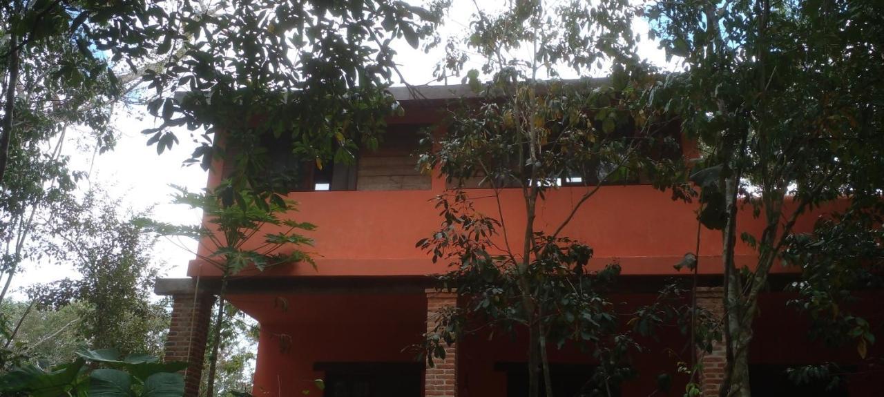 Casa Mango Bed & Breakfast ตูลุม ภายนอก รูปภาพ