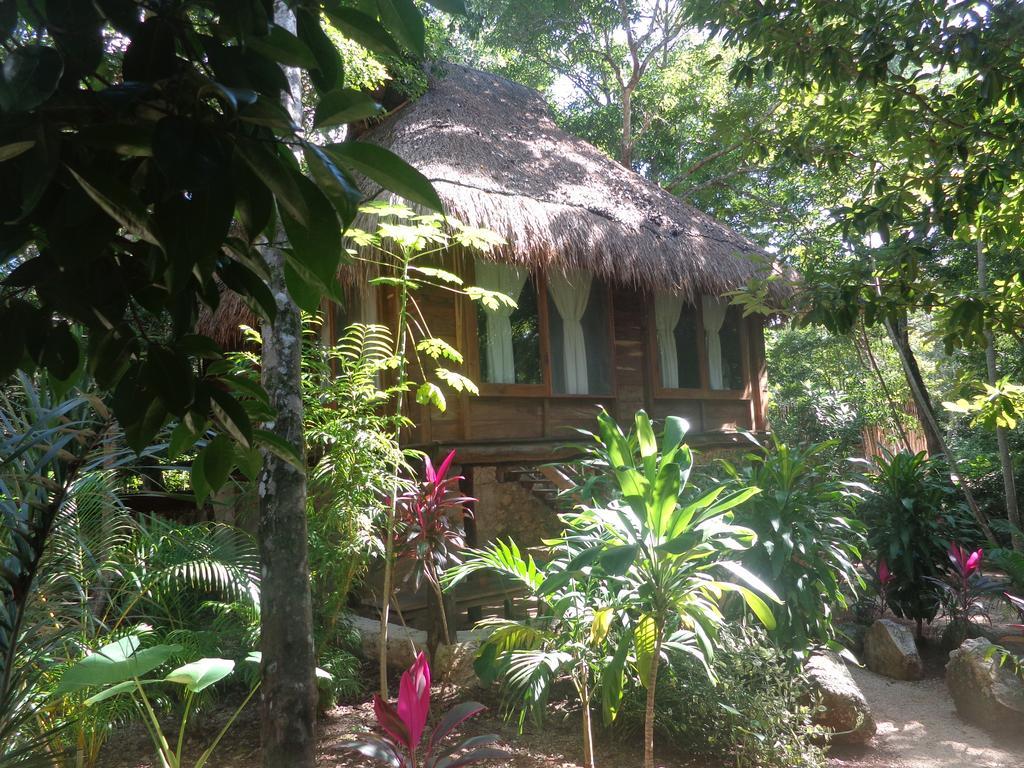 Casa Mango Bed & Breakfast ตูลุม ห้อง รูปภาพ
