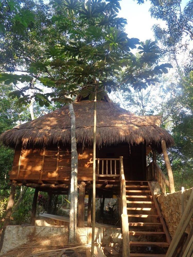 Casa Mango Bed & Breakfast ตูลุม ภายนอก รูปภาพ