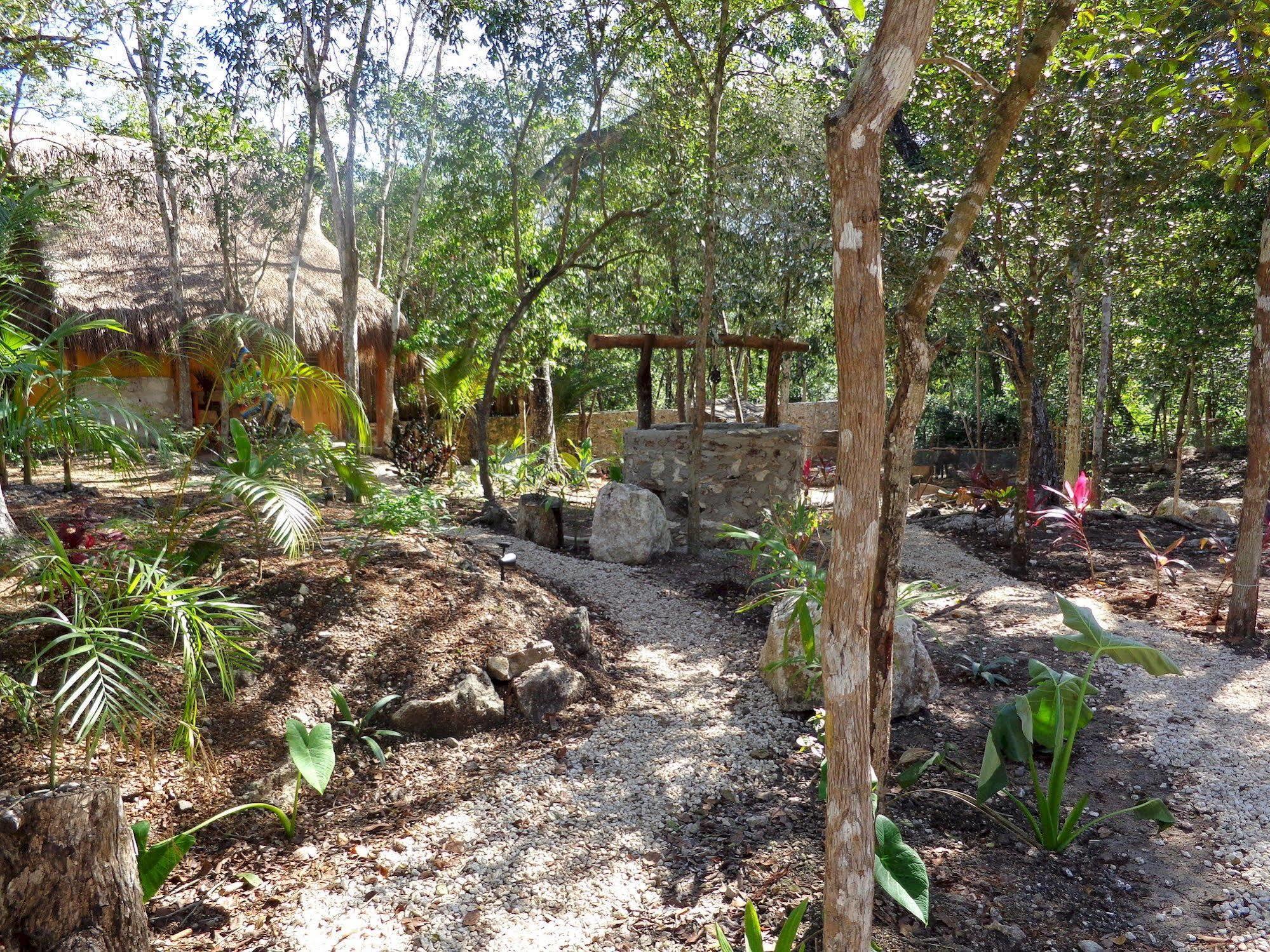 Casa Mango Bed & Breakfast ตูลุม ภายนอก รูปภาพ
