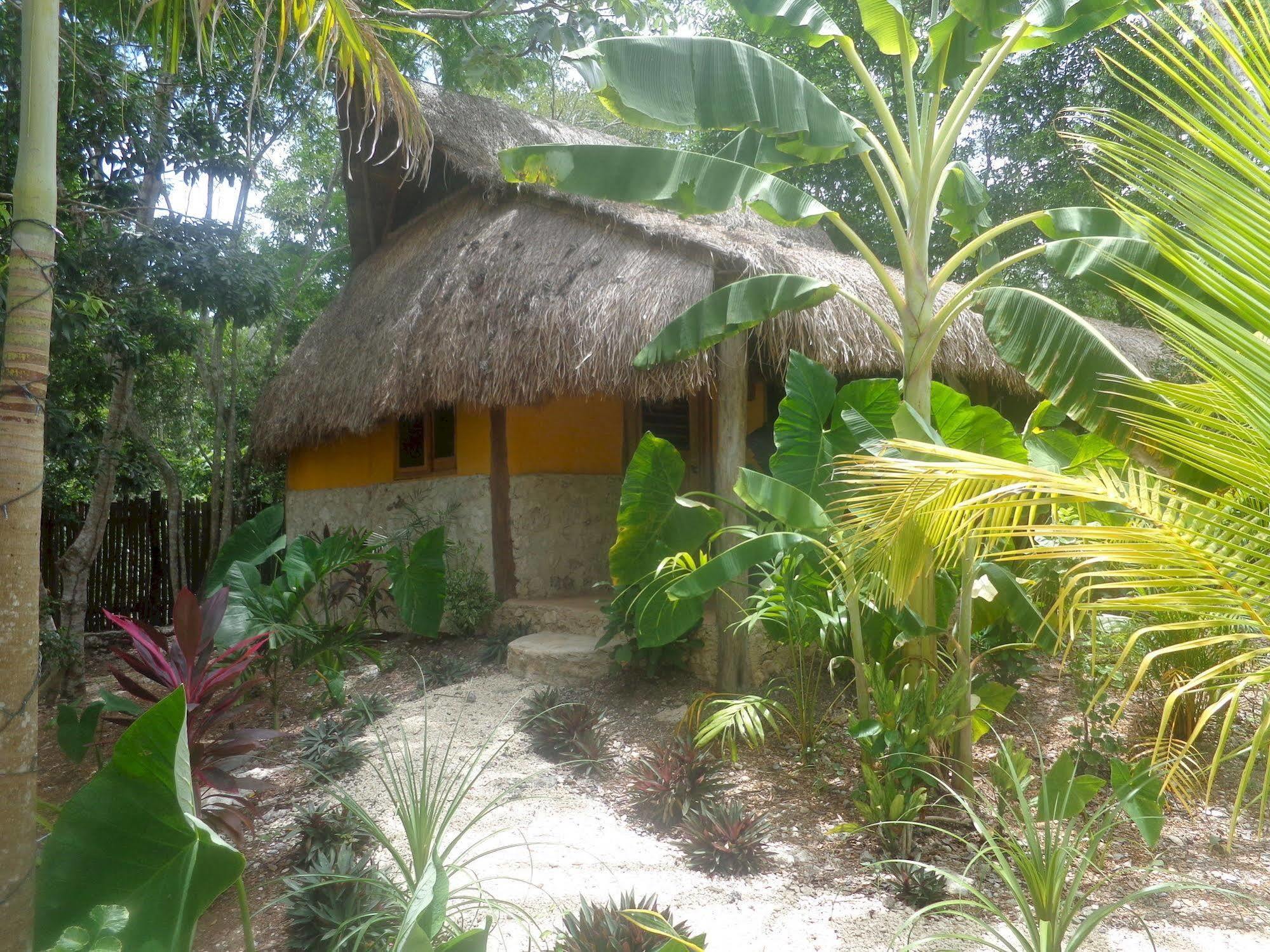 Casa Mango Bed & Breakfast ตูลุม ภายนอก รูปภาพ