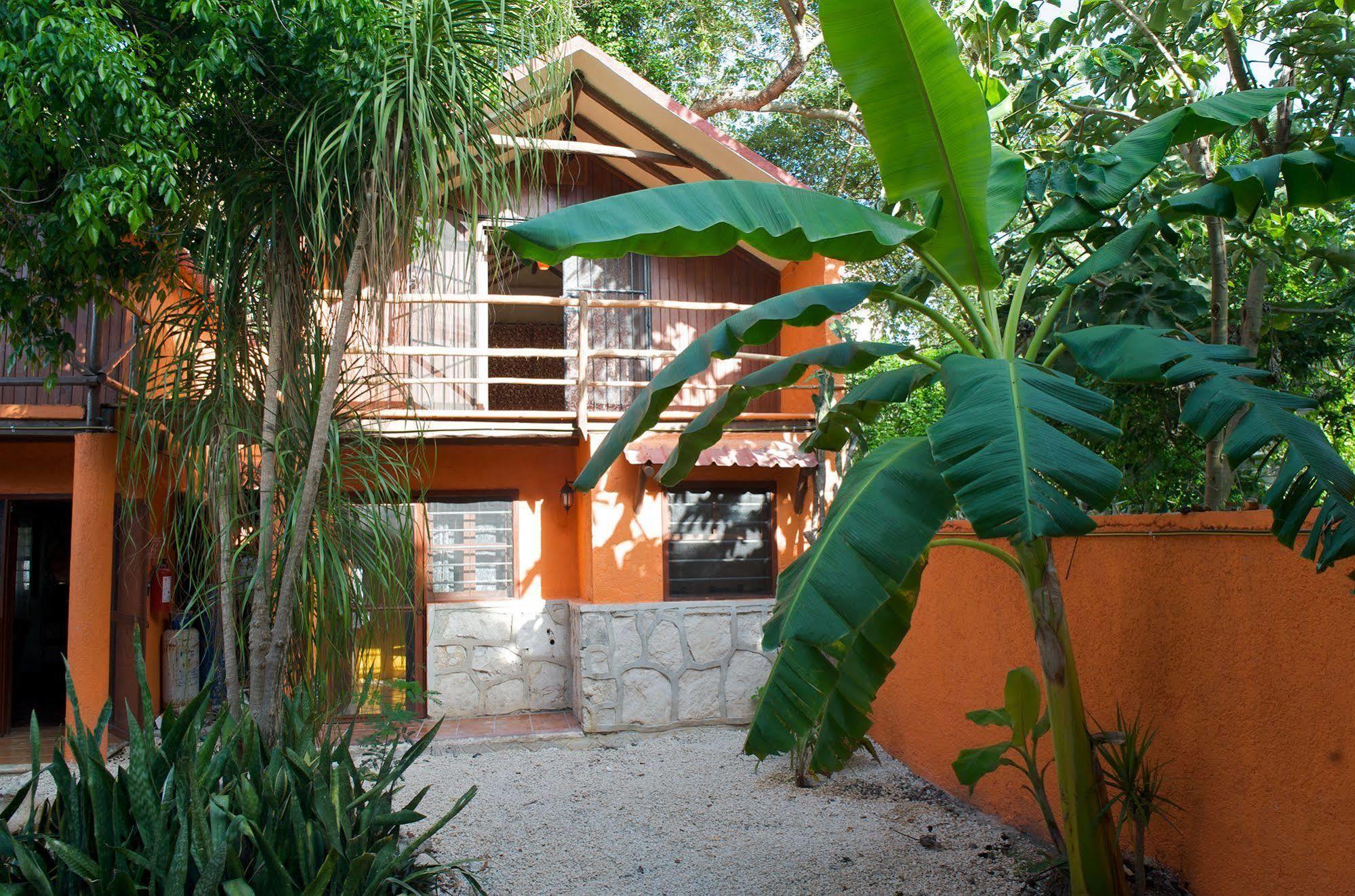Casa Mango Bed & Breakfast ตูลุม ภายนอก รูปภาพ