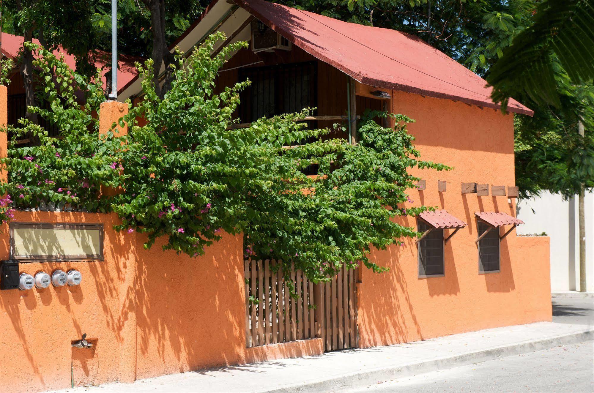 Casa Mango Bed & Breakfast ตูลุม ภายนอก รูปภาพ